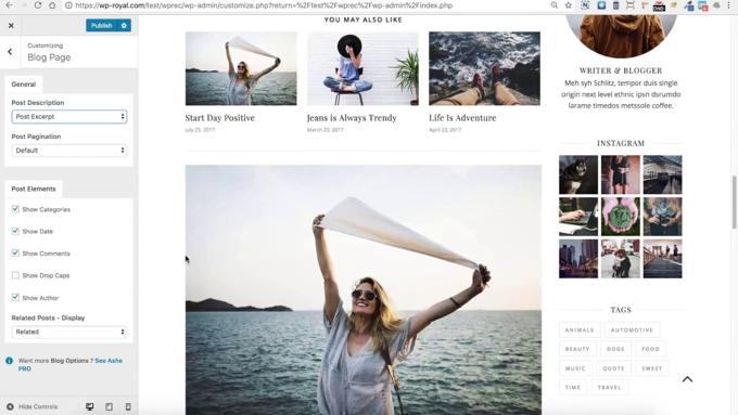 Ashe review customizer Ashe Theme review customizer