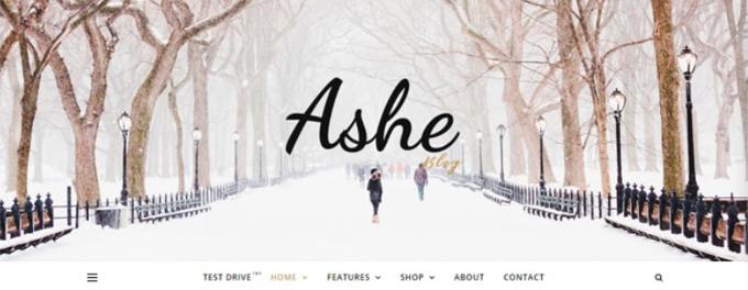 Ashe Blogger-Theme review Ashe Theme review