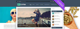 Extra Theme Review - Best Wordpress magazine theme for News