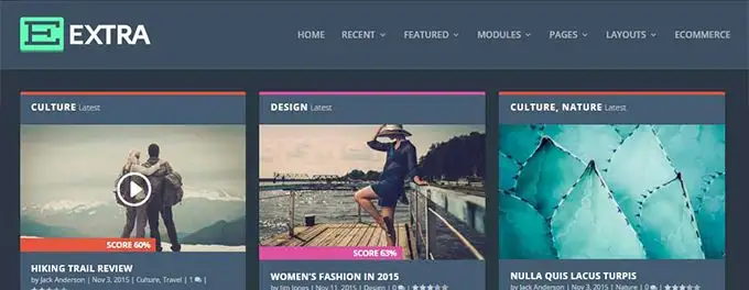 额外最佳 WordPress 主题 [2023]