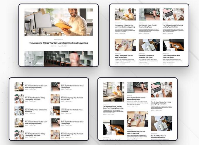 Brisk theme review blogs