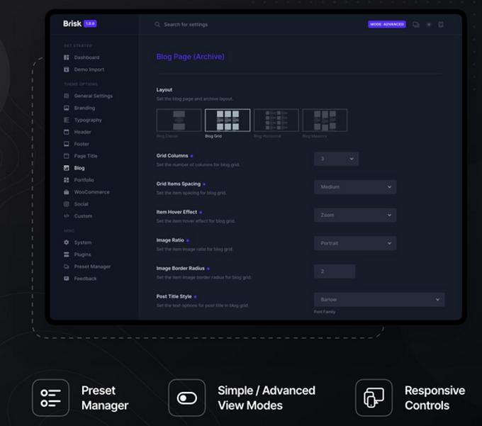 Brisk theme review settings