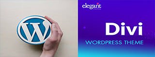 Create a web site using Wordpress and Divi Theme