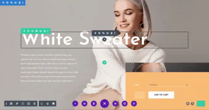 WooCommerce customization with Divi