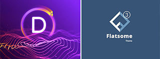 Divi vs Flatsome comparison [2025]