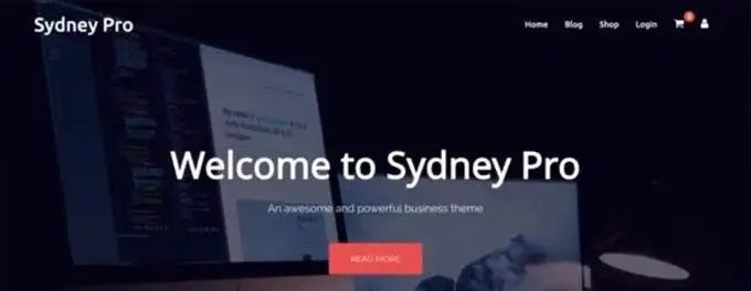 Fastest Wordpress Themes Sydney