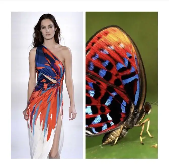 Natural Inspirations [2025]