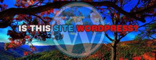 How to tell if a site is Wordpress [2025]