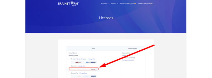 How to update theme in WordPress Astra license key