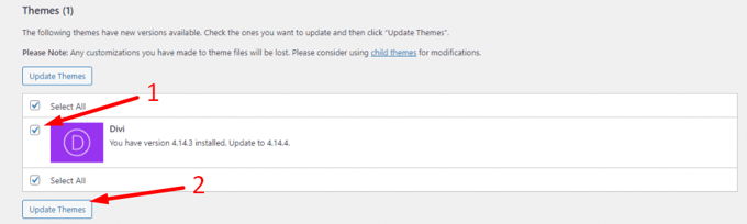 How to update Divi theme in WordPress license key