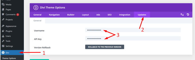 How to update theme in WordPress license key
