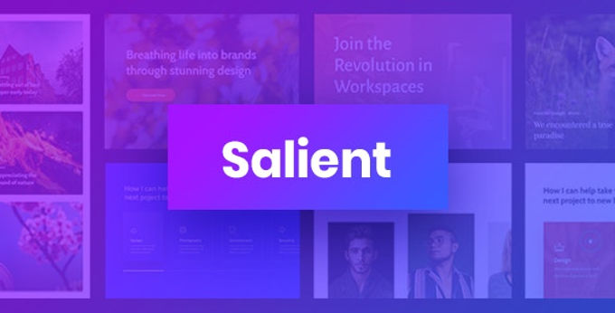 Salient - Creative Multipurpose & WooCommerce Theme