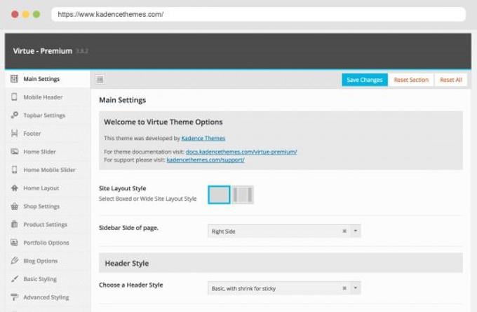 Virtue review Options Panel Virtue Theme review Options Panel