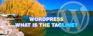 What is tagline in WordPress? [2025]