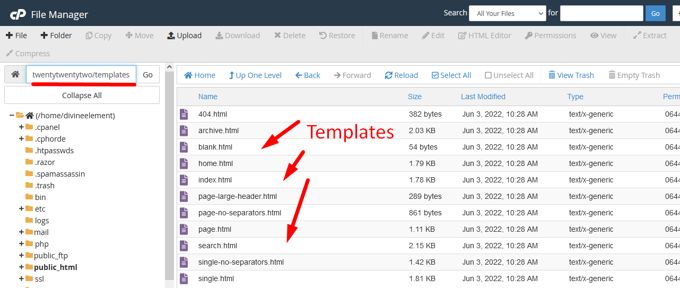WordPress Templates location cpanel WordPress Templates location Cpanel