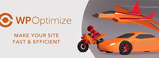 WP-Optimize plug-in review [2025]